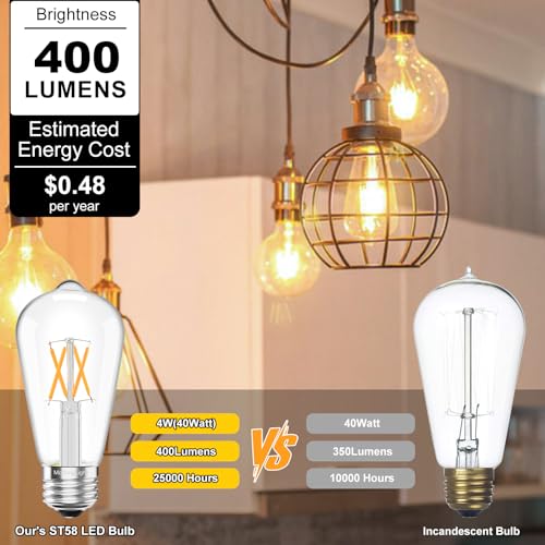 6 Pack Vintage LED Edison Bulbs (6 Count)