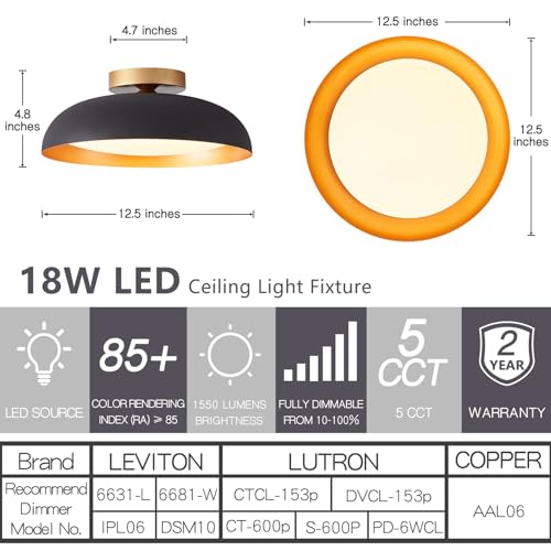 Flush Mount Ceiling Light