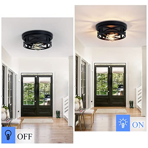 Flush Mount Ceiling Light Fixture (2 Count)