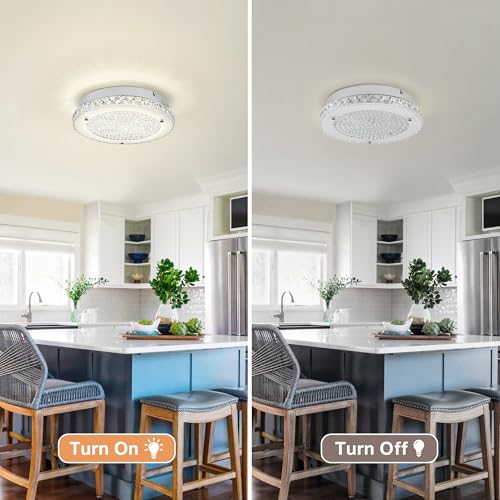 Crystal Ceiling Light 3000