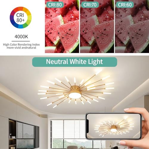 Modern Ceiling Light