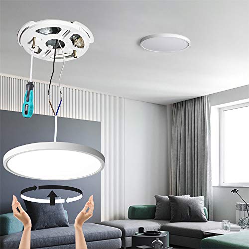 2 Pack 12 Inch LED Flush Mount Ceiling Light Fixture (2 Count)