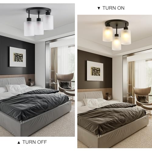 3 Light Industrial Farmhouse Black Matte Light Fixtures Ceiling Mount (3 Count)