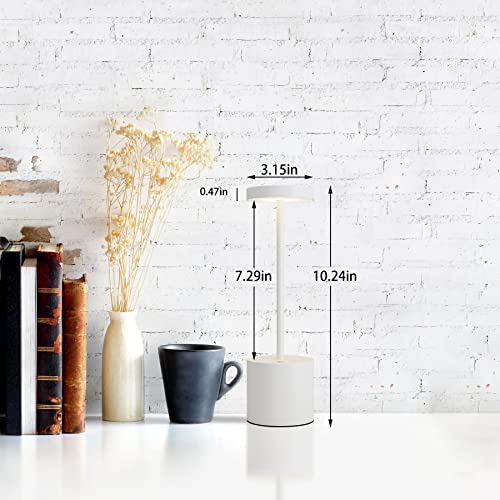 LED Cordless Table Lamps Set of 2