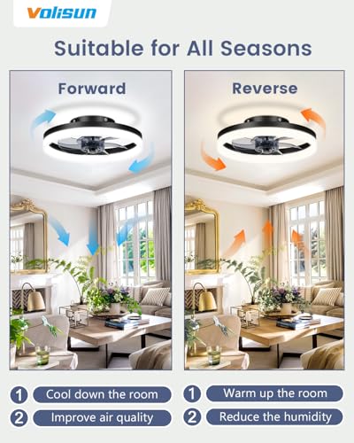 13 inch Small Ceiling Fans with Lights and Remote