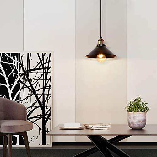 2 Pack Industrial Retro Black Iron Pendant Light (2 Count)