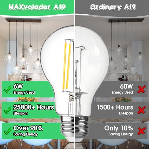 60W Equivalent E26 LED Filament Light Bulbs (4 Count)