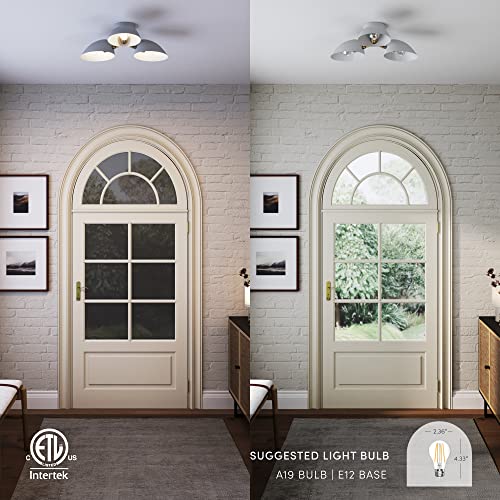 Argo Semi Mount Flush Ceiling Light (2 Count)