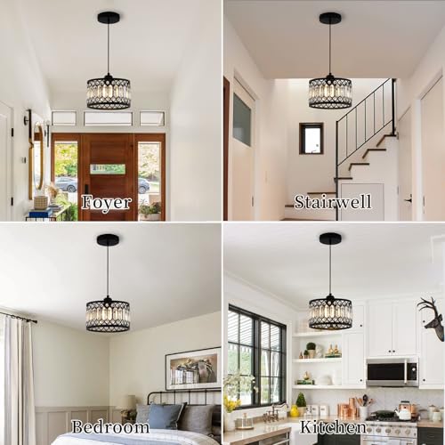 Crystal Black Pendant Light Fixture