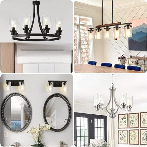 8 Pack Clear Glass Light Shade (8 Count)