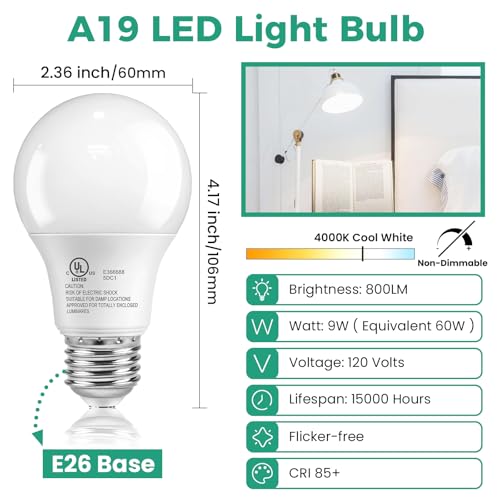 6 Pack A19 LED Light Bulbs (6 Count)