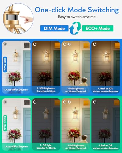 Outdoor Wall Lights (2 Count)
