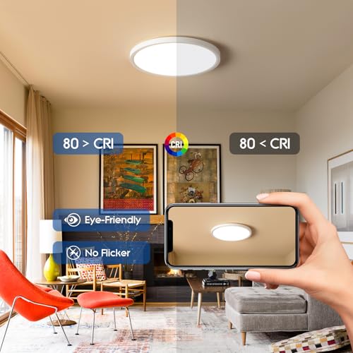 12 Inch Hardwired Dimmable LED Flush Mount Ceiling Light Fixtures