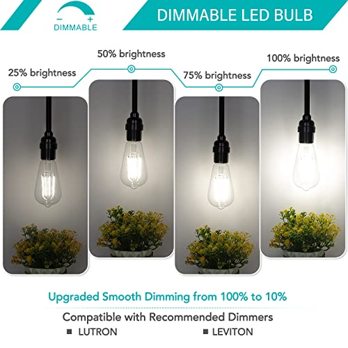 Dimmable Vintage LED Edison Bulbs 60W Equivalent 6W 850 Lumens (12 Count)