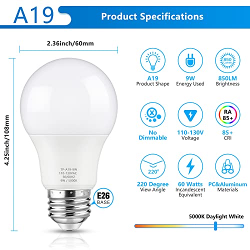 A19 LED Light Bulbs (20 Count)