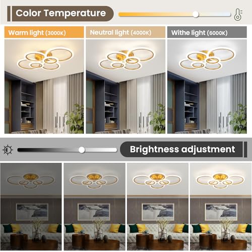 Gold Modern Flush Mount Ceiling Light