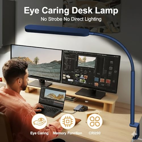 LED Desk Lamp
