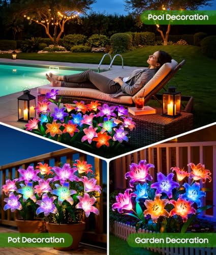 Solar Garden Lights (6 Count)