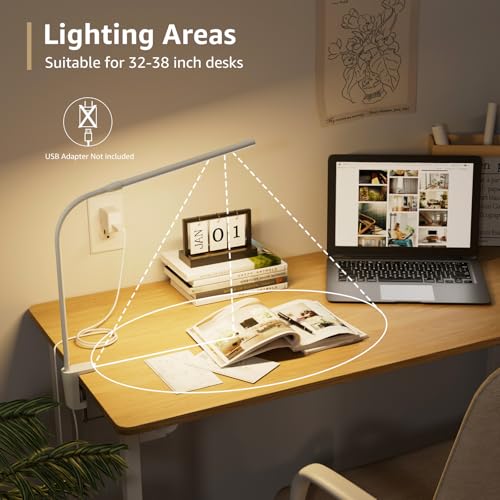 Small Desk Lamp with Clamp