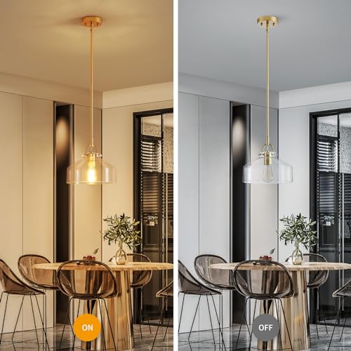 Chandelier Rustic Farmhouse Industrial Round Ceiling Pendant LED Light Fixture with Clear Glass Shades for Dining Room Kitchen Island Foyer Entryway