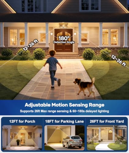 Motion Sensor Outdoor Ceiling Light with Remote