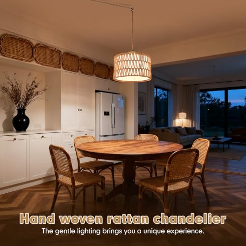 Rattan Plug in Pendant Boho Hanging Lamp with Dimmer Switch Woven Light Fixture Small Chandelier Ceiling Light with Plug in Cord for Bedroom Living Room Kitchen Island