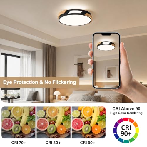 Modern LED Ceiling Light