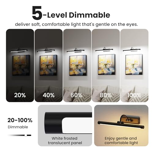 2 Pack Picture Lights for Wall 6000mAh (2 Count)