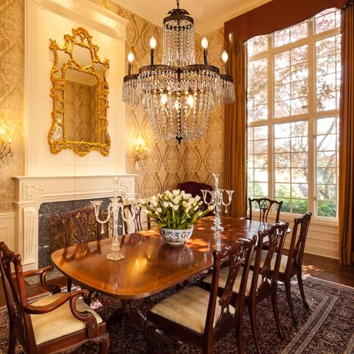 Antique Chandelier French Empire Crystal Chandelier Lighting 25" W