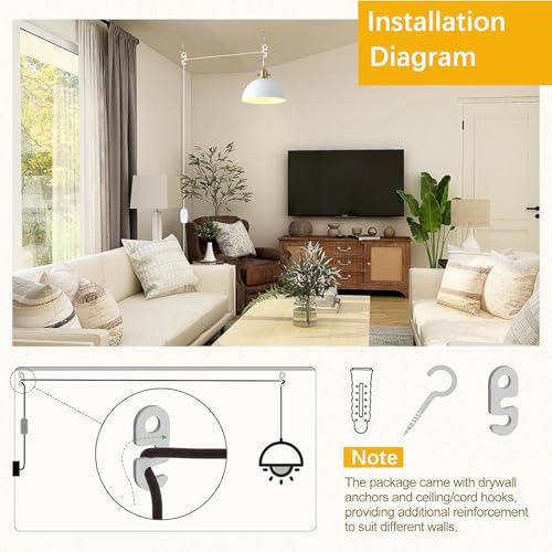 Plug in Pendant Light