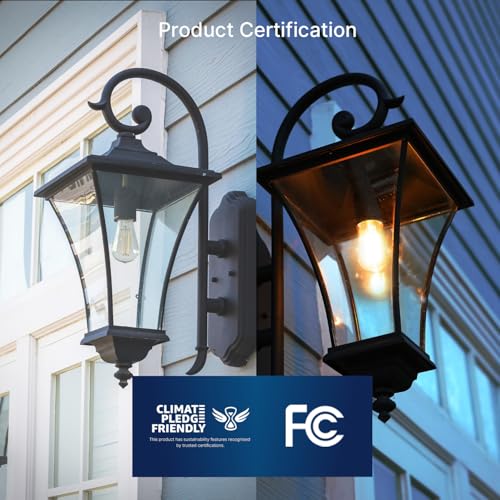 Dusk to Dawn Outdoor Sensor ST19 LED Light Bulb (8 Count)