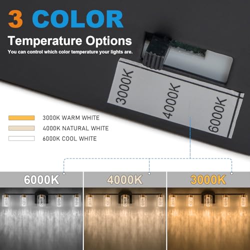 5 Light Black and Gold Vanity Light with 3 Color Modes