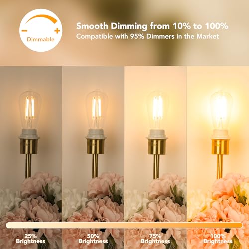 ST58 E26 LED Light Bulbs (12 Count)