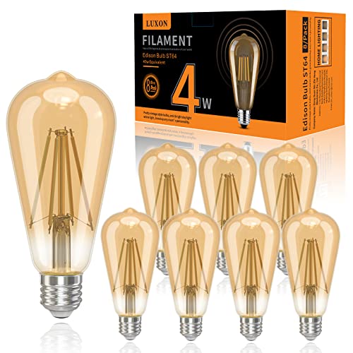LED Edison Bulbs