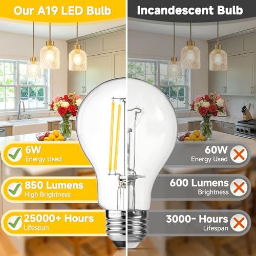 A19 Vintage LED Edison Bulbs Dimmable 60W Equivalent High Brightness (4 Count)