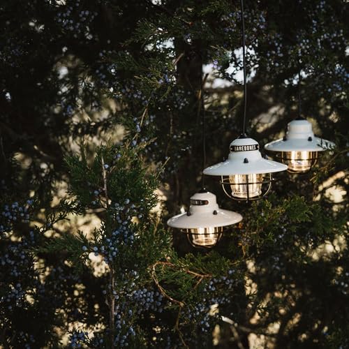 Edison Pendant String Lights