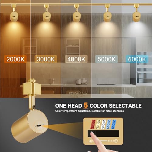 5 Color LED Track Lighting Heads H Type Track Light Heads Dimmable