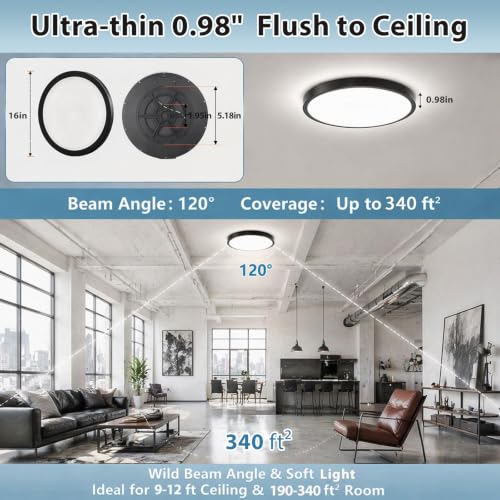 16in 32W 3CCT Commercial LED Flush Mount Ceiling Light Black (Black)
