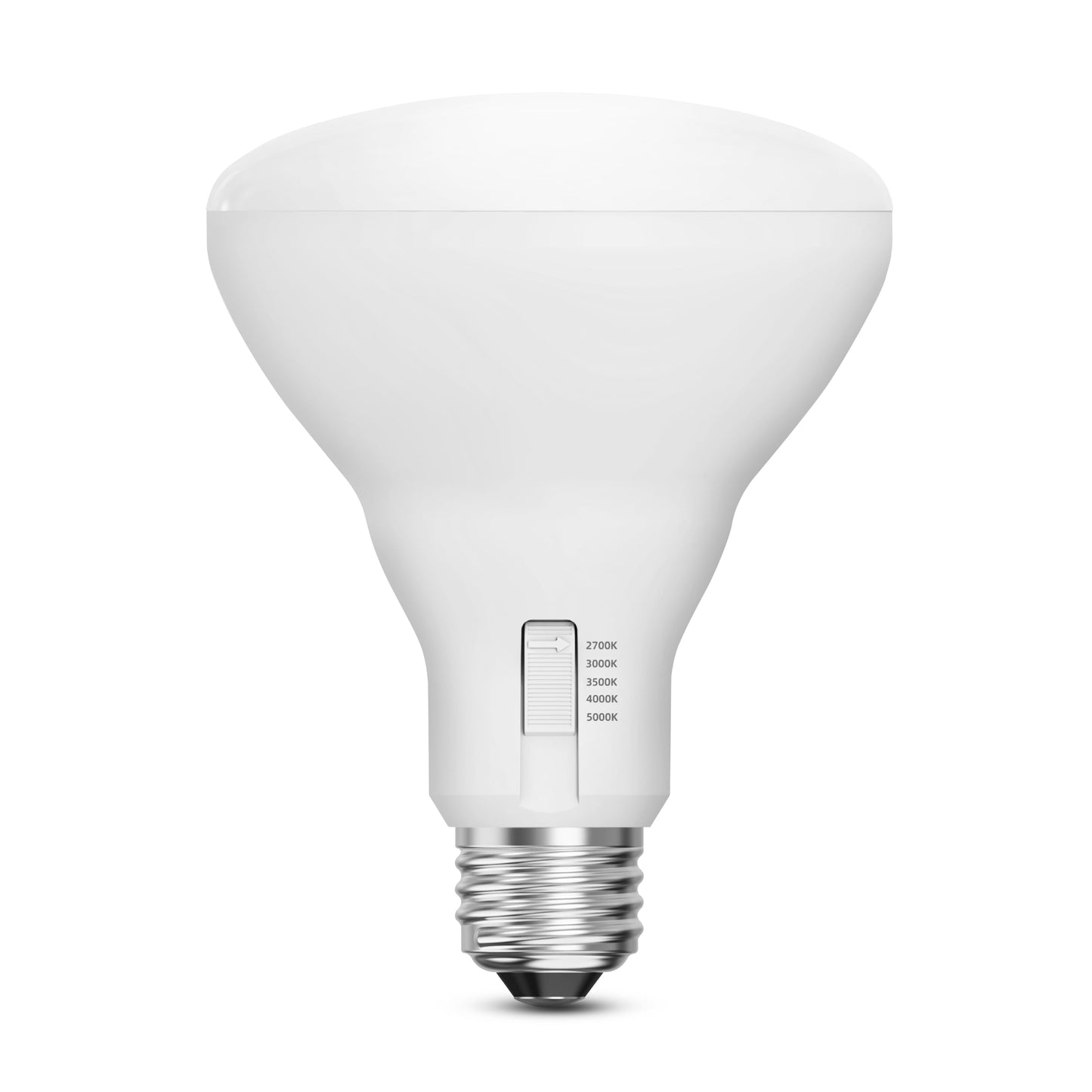 BR30 LED Light Bulbs (6 Count)