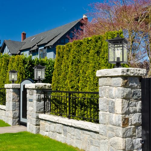 Outdoor Post Light Fixture