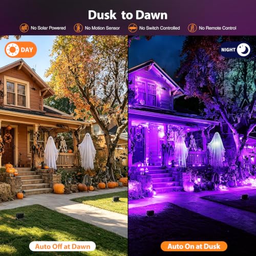 Purple Halloween Lights (Purple)
