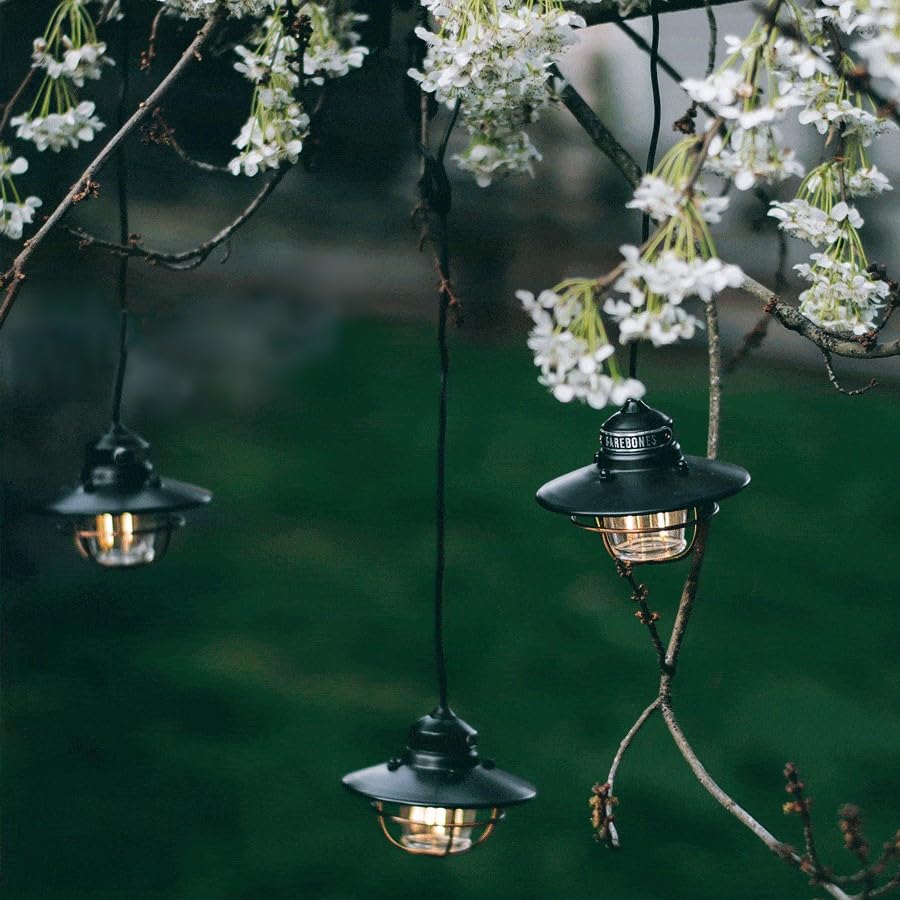 Edison Pendant String Lights