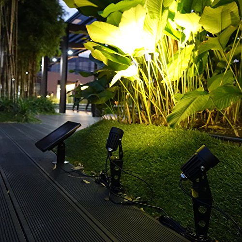 MINI 50X Twin Solar