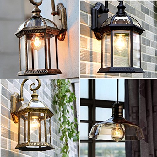 Edison Bulb A19 (4 Count)