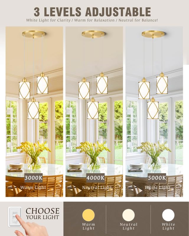 Brushed Gold Pendant Light Fixtures