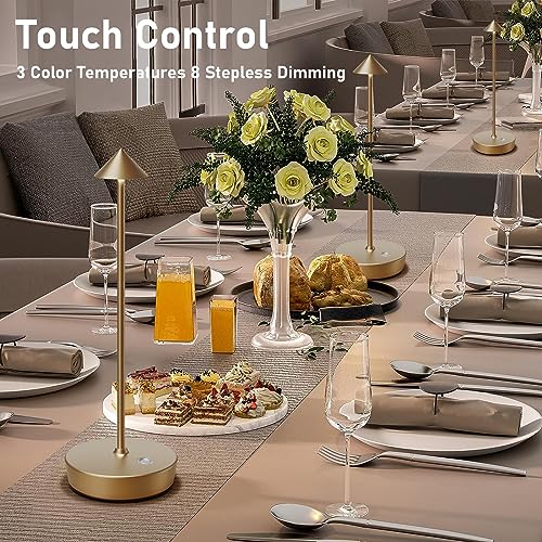 Set of 2 Cordless Rechargeable Led Table Lamp Battery Operated Light Bronze (2 Count)