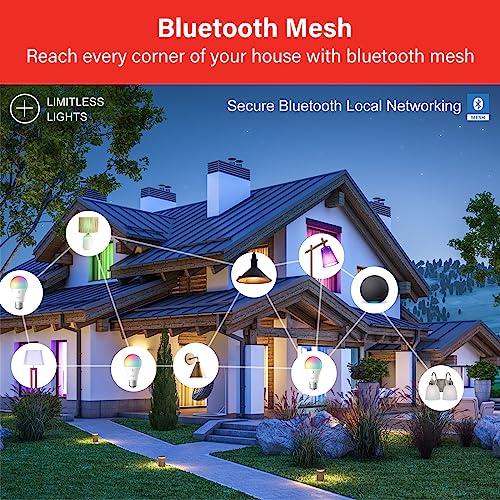 Alexa Light Bulbs 100W Equivalent (4 Count)