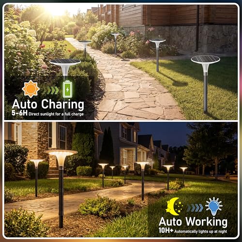 Solar Pathway Lights 8 Pack (8 Count)