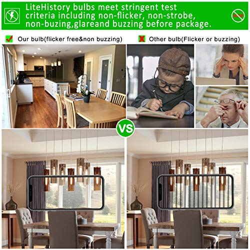T10 E26 Led Bulb (6 Count)