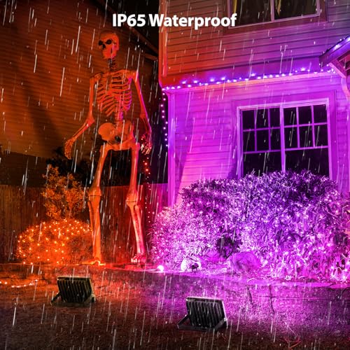 Orange and Purple Halloween Lights (Orange and Purple)